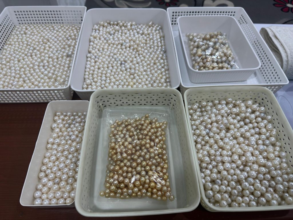 South Sea Pearl Market Trends 2024: What Wholesale Buyers Need to Know
